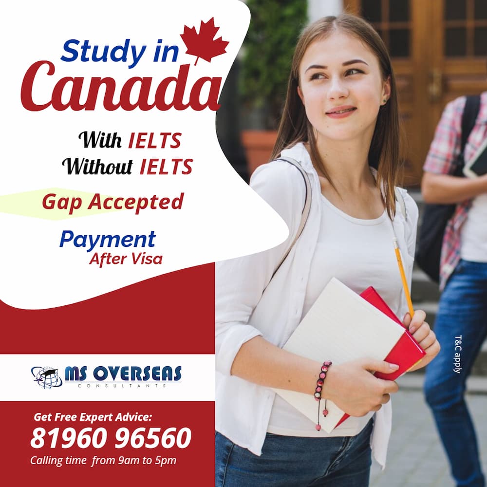 Study in Canada